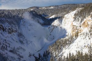 C-0509 Lower Falls, Yellowstone National Park 